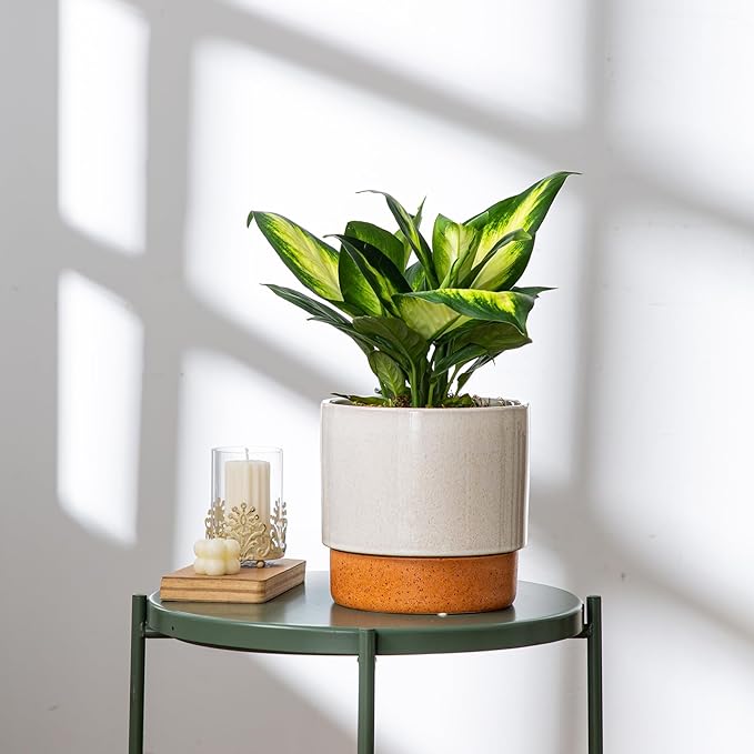 Self Watering Ceramic Planter: 8 Inch Plant Pot with Drainage Hole & Water Storage Plus for Outdoor & Indoor Plants, Succulents, Herbs - Flower Pot for Home or Office Decor - Retro Grey