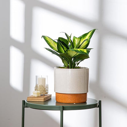 Self Watering Ceramic Planter: 8 Inch Plant Pot with Drainage Hole & Water Storage Plus for Outdoor & Indoor Plants, Succulents, Herbs - Flower Pot for Home or Office Decor - Retro Grey