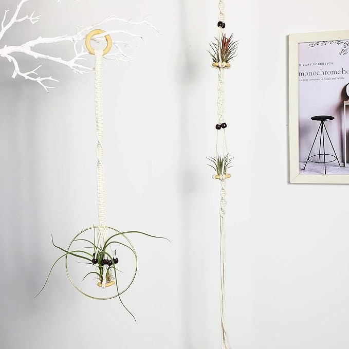 Tatuo 4 Pieces Hanging Air Plant Holders Boho Macrame Plant Hanger Fabric Woven Air Fern Display with 4 Pieces Hooks for Home Decoration Gift Idea