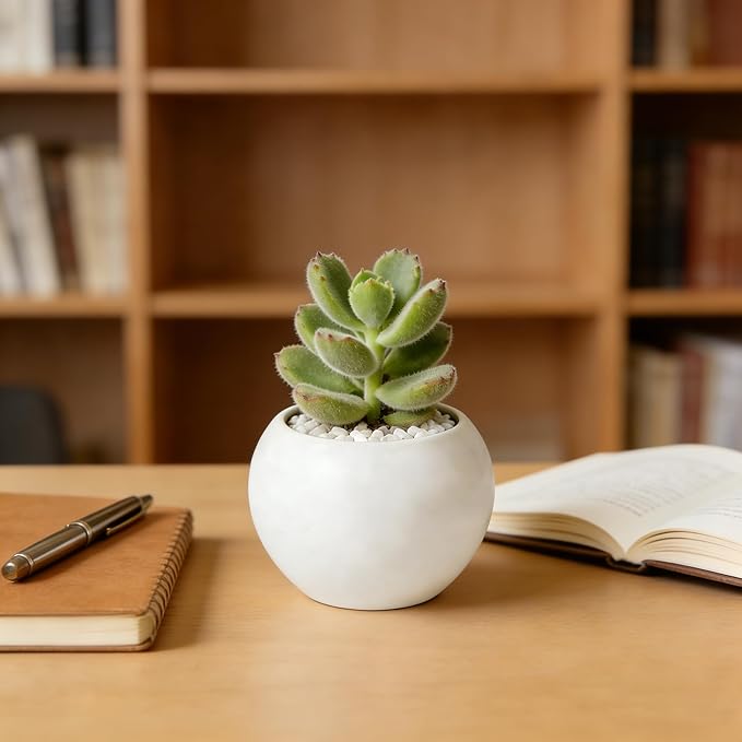 White Spherical Ceramic Planter Succulent Small Plant Pots Indoor Modern Round Decorative Indoor-Outdoor Garden Plant Pots with Drainage Holes - Plants Not Included 3.94 x 3.94 x 3.15 Inch