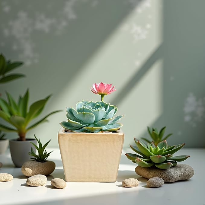 Admired by Nature 5" Ceramic Flower Planter Pot - for Home Decor, Indoor Gardens, Succulents, Organization, Display, Storage - Medium White