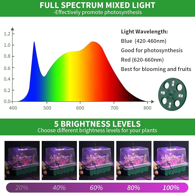 Seed Starter Tray with Plant Light, 2 Pack Grow Lights for Seed Starting Kit with Humidity Domes, Timing Controller Adjustable Brightness for Greenhouse Propagator Station Planting Growing