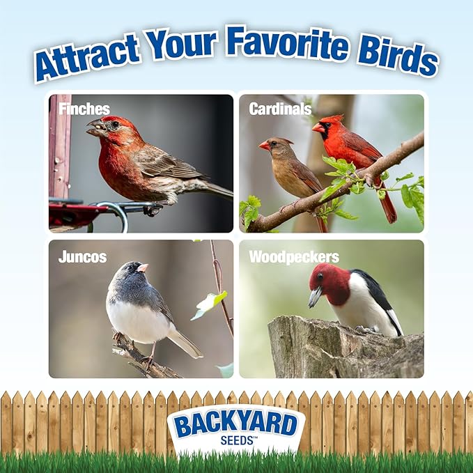 CountryMax Backyard Seeds Songbird Blend Bird Seed Great Variety (14 Pounds)