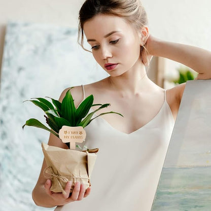 24 Pcs Funny Plant Makers Label Wooden Plant Sign Tag for Succulent Flower Greenery with Stake Interesting Word Cute Pattern Garden Marker for Outdoor Indoor Patio Supplies Gardener Novelty Gift
