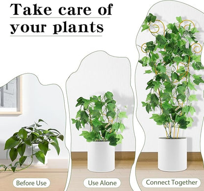 ZOUTOG Trellis for Climbing Plants Indoor 4 Pack 30 Inch,Rustproof Metal Garden Trellis for Potted Plants,Sturdy Houseplant Support Indoor Outdoor for Ivy Pothos Monstera Hoya Flower Vine(Golden Moon)
