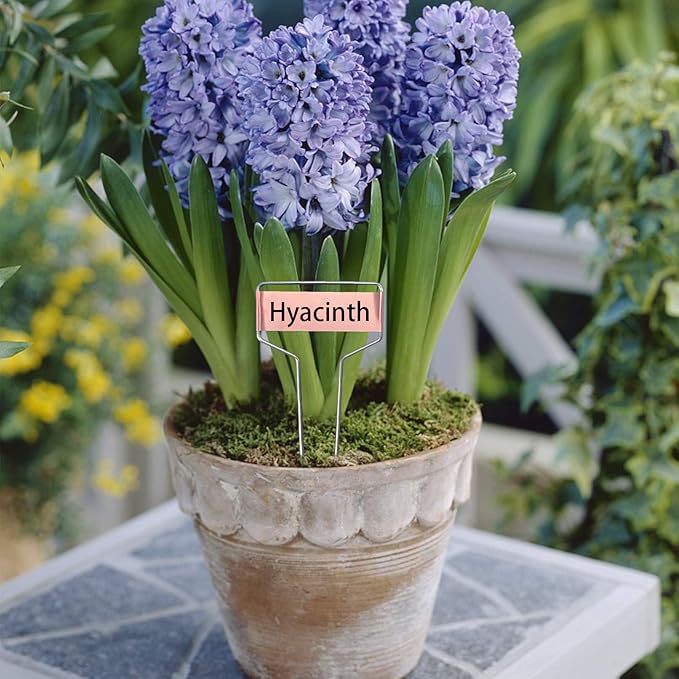 Wehhbtye 40 PCS Metal Plant Label Stakes - Copper Metal Plant Tags,High Copper Plate Plant Labels,Coppers Plant Tags with 1 Maker Pen for Flowers, Vegetables, Seedlings, Seed,etc