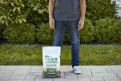 Scotts Turf Builder Thick'R Lawn Tall Fescue Mix, Combination Seed, Fertilizer and Soil Improver, Thickens Thin Grass, 12 lbs. (2-Pack)