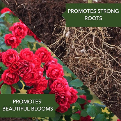 BioAdvanced All-In-One Rose and Flower Care I, Granules, 4 lb