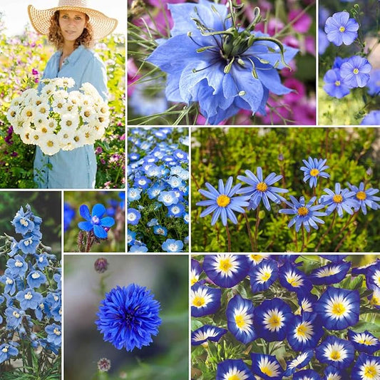 Eden Brothers Blue Ribbon Flower Mixed Seeds for Planting, 1 lb, 480,000+ Seeds with Blue Bell, Cornflower Blue, Chicory | Attracts Pollinators, Plant in Spring or Fall, Zones 3, 4, 5, 6, 7, 8, 9, 10