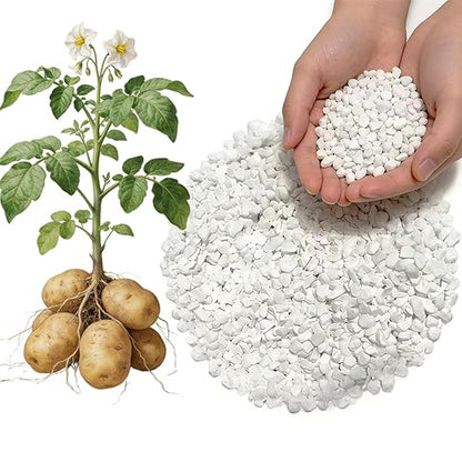 2lb Potash Fertilizer 0-0-60, Sulfate of Potash Indoor Plant Fertilizer, Potassium Fertilizer, Plant Food for Houseplants, Fruit, Flower, Tomato, Promote Large Flower Blooming & Fruit Growth