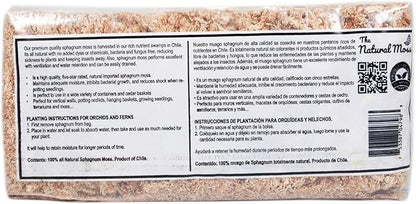 Inc Premium Chilean Sphagnum Moss 150 Grams/0.33 pounds, Premium Moss Dried, Long Fiber Moss Perfect for Healthy Orchids & Plants Growth repotting
