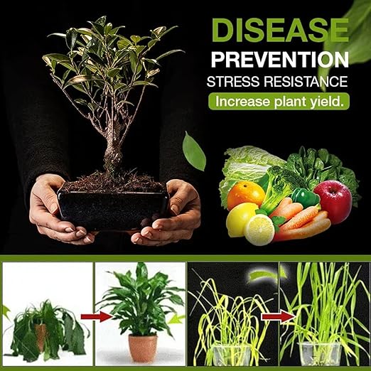 Soil Activated Treasure-You Will Be Amazed! Soil Activation Treasure, Soil Penetrant and Wetting Agent, Organic Soil Improver, Premium Soil Activator Improve Plant Growth (2 Bottle*400g)