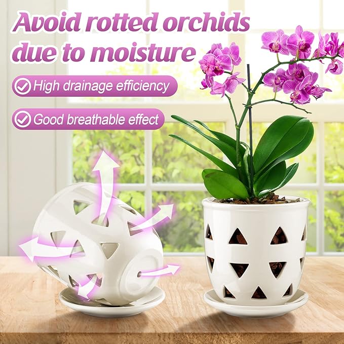 Aulock 6in Ceramic Orchid Pot with Drainage Holes, Decorative Planter, Excellent Airflow for Healthy Roots, for Repotting Indoor, Triangle Style