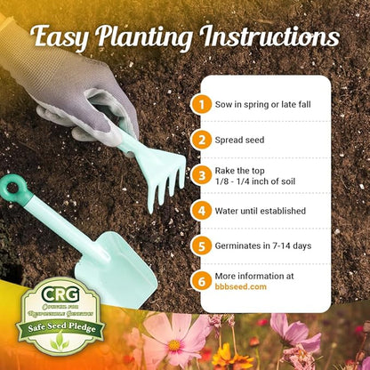 Drought Resistant Wildflower Seeds - 1oz, Open-Pollinated Bulk Flower Seed Mix for Beautiful Perennial, Annual Garden Flowers - No Fillers - 1 oz Packet
