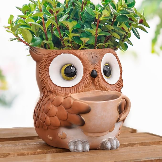 Unique Owl Plant Pots Indoor, Cute Small Succulent Pots with Drainage Hole, Watering Owl Planters for Indoor Outdoor Plants, Resin Flower Pot for String of Pearls, Gift Ideas for Mother