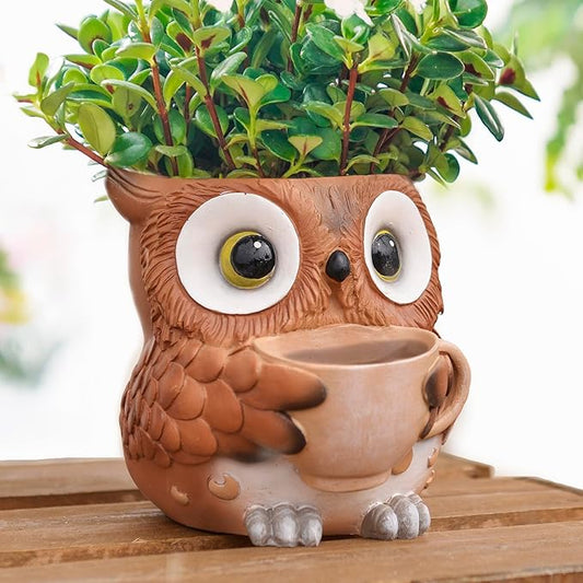 Unique Owl Plant Pots Indoor, Cute Small Succulent Pots with Drainage Hole, Watering Owl Planters for Indoor Outdoor Plants, Resin Flower Pot for String of Pearls, Gift Ideas for Mother