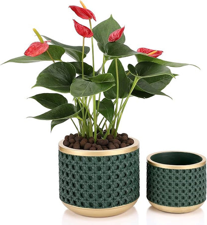 6&4.4 Inch Cement Planter Decorative Pots with Drainage Hole for All House Plants, Succulents, Flowers, and Cactus (Gold Green)