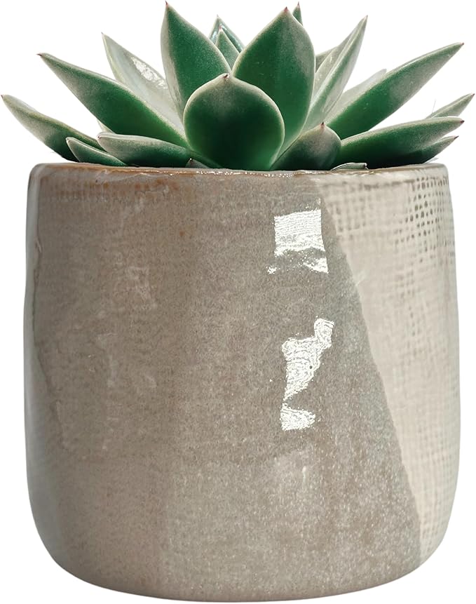 4.5" Ceramic Flower Planter Pot - for Home Decor, Indoor Plants, Gardens, Display, Organization, Storage - Beige