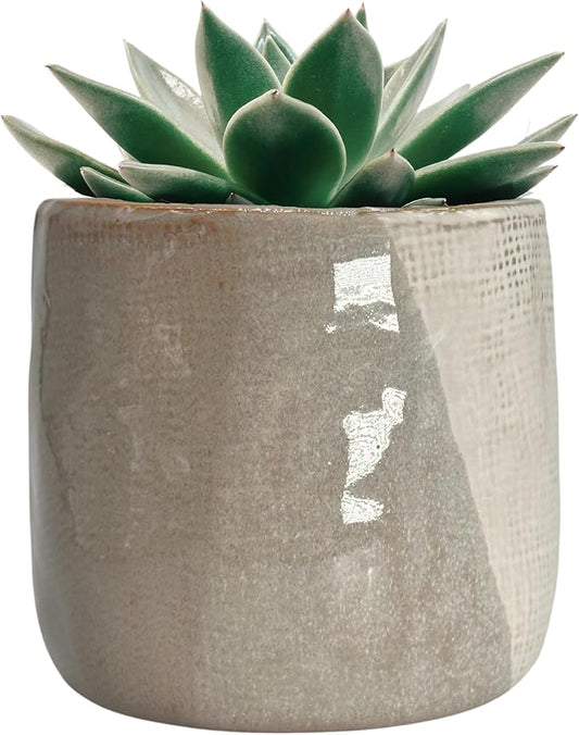4.5" Ceramic Flower Planter Pot - for Home Decor, Indoor Plants, Gardens, Display, Organization, Storage - Beige