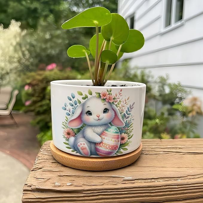 DreamAutumn Easter Bunny Rabbit Ceramic Planters Ceramic Pots with Saucers Orchid Pots for Plants Succulents Pots Office Desk Garden Balconys New Home Decor,Gifts for Mom Mother Grandmother