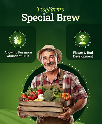 FoxFarm Grow Big Hydroponic Plant Food - 3-2-6 Liquid Plant Fertilizer for Lush Vegetative Growth in Hydroponic Systems - Liquid Concentrate with Earthworm Castings & Micronutrients - 2.5 Gallons