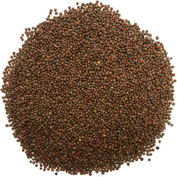 1 lb Broccoli Sprouting Seeds - Perfect for Sprouting & Microgreens, Rich in Sulforaphane, USA Grown (Resealable Bag)
