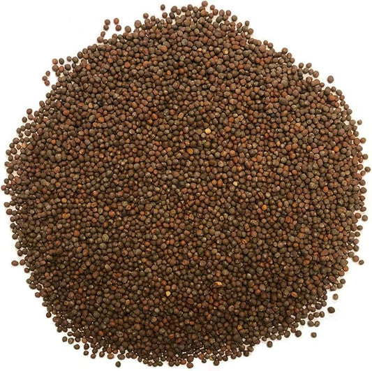 1 lb Broccoli Sprouting Seeds - Perfect for Sprouting & Microgreens, Rich in Sulforaphane, USA Grown (Resealable Bag)