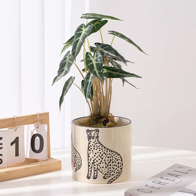 5 Inch Ceramic Planters for Indoor Plants, Funny Small Plant Pots with Drainage, Unique Decorative Cute Flower Pot Panthers Round Flowerpots