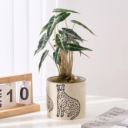 5 Inch Ceramic Planters for Indoor Plants, Funny Small Plant Pots with Drainage, Unique Decorative Cute Flower Pot Panthers Round Flowerpots