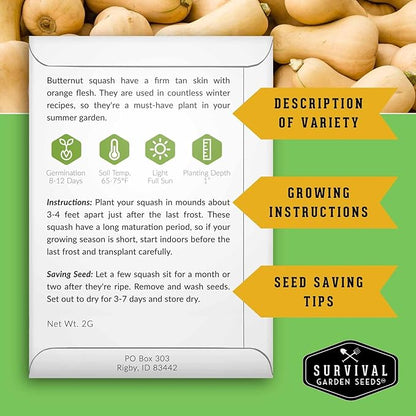 Winter Squash Variety Pack – 4 Heirloom Types for Planting: Butternut, Acorn, Pink Banana & Spaghetti – Non-GMO Garden Vegetables – Survival Garden Seeds