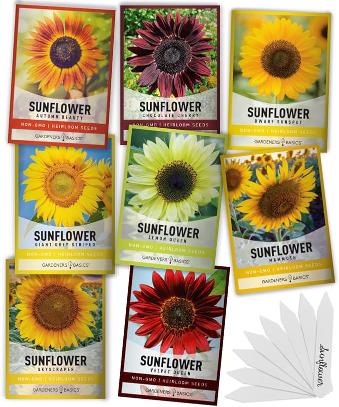 Gardeners Basics Sunflower Seeds for Planting Flowers - Velvet Queen, Skyscraper, Lemon Queen, Giant, Autumn Beauty, Chocolate Cherry, Dwarf Sunspot and Mammoth Bulk Outdoor Flower Garden, Pack of 8