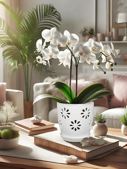 Oairse 6 inch Orchid Pots with Holes, White Ceramic Orchid Pot for Repotting Small Indoor Plant Pots with Drainage Holes and Saucers Decorative Flower Planter for Orchids, Indoor Plant