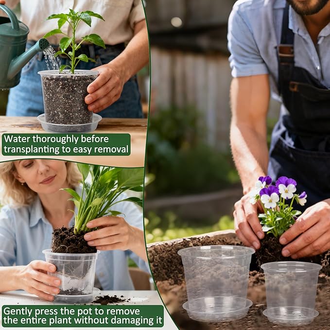 10/8/6/4 Inch Clear Nursery Pots with Drainage Holes and Saucers, 12 Pack Clear Pots for Plants Variety Pack, Seedling Pots for Succulents, Herbs, Flowers, Vegetables
