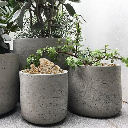 10lbs Coarse Sand Stone for Decorative Rocks, Soil Cover Bonsai, Succulent, Terrarium, Cactus, Aquarium, Garden, DIY, Natural Sand Top Dressing