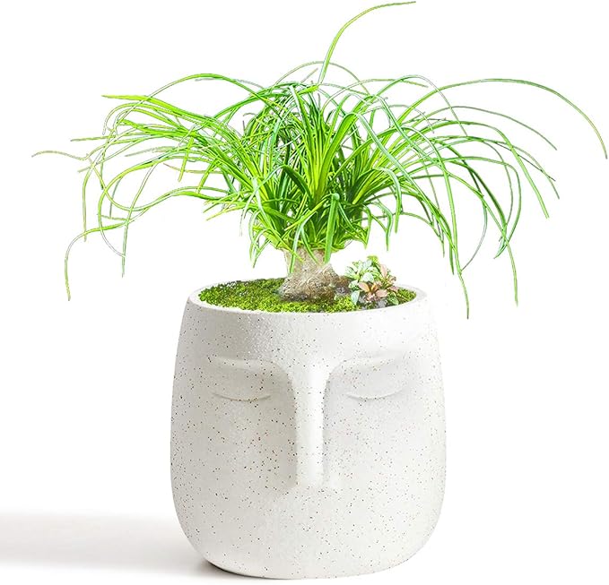 GeLive Head Plant Pot Succulent Planter with Drainage Hole Modern Statue Flower Pot Face Plant Vase Windowsill Box Art Home Decoration Indoor Outdoor (White)