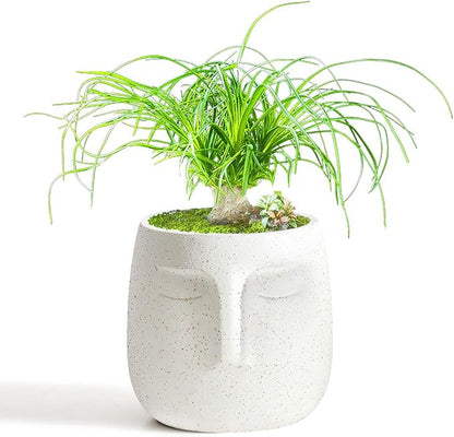 GeLive Head Plant Pot Succulent Planter with Drainage Hole Modern Statue Flower Pot Face Plant Vase Windowsill Box Art Home Decoration Indoor Outdoor (White)