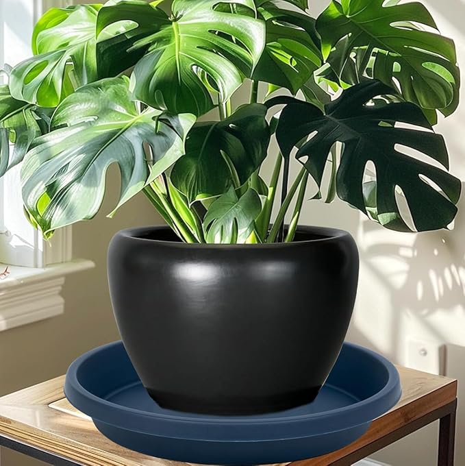 Plastic Plant Saucers 12 Inch Round Pack of 5 Heavy Duty Reusable Drip Trays for Flower Pots