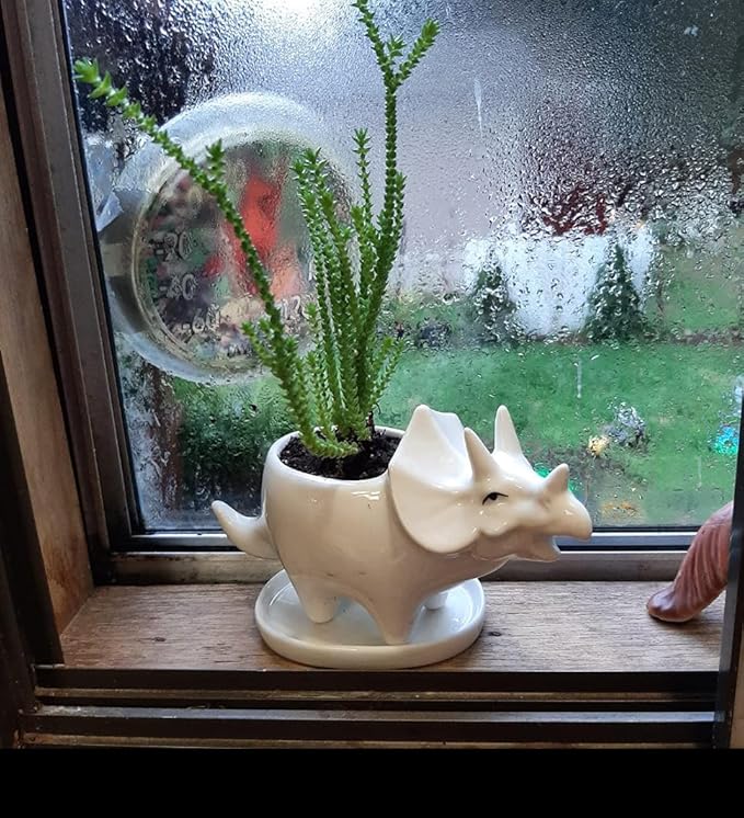 Ceramic Succulent Plant Pot Cactus Plant Pot Flower Pot Container Planter with Drainage Hole Home Office Desk Garden Gift Idea Animal Shaped Flower Pot Cute Vase Pot (4pcs Dinosaur)