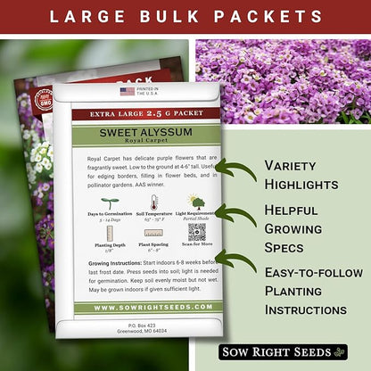 Sow Right Seeds - Bulk Alyssum Seeds for Planting - 2.5 Grams, 6200 Seeds - Non-GMO Heirloom Jumbo Pack with Instructions to Plant a Home Flower Garden - Grow Loads of Beautiful Bed Filling Flowers