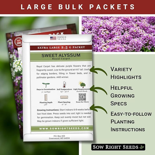Sow Right Seeds - Bulk Alyssum Seeds for Planting - 2.5 Grams, 6200 Seeds - Non-GMO Heirloom Jumbo Pack with Instructions to Plant a Home Flower Garden - Grow Loads of Beautiful Bed Filling Flowers
