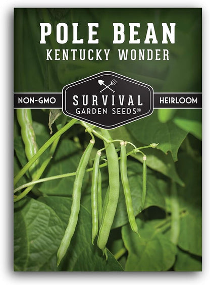 Kentucky Wonder Pole Bean Seed for Planting - 1 Packet with Instructions to Plant and Grow Green Snap Beans in Your Home Vegetable Garden - Non-GMO Heirloom Variety - Survival Garden Seeds