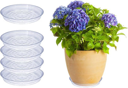 Curtis Wagner Plastics Drip Pan Plant Saucers (5-Pack) - Clear, Round (Diameter: 9" Base, 10" Top, 1.25" Depth) Thin Plastic Planter to be Used as Indoor Pot & for Outdoor Plant Pots