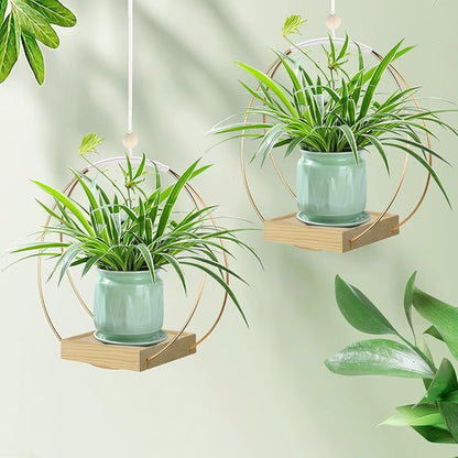 Hanging Planter for Indoor Plants, Plant Hanger with Sturdy Wood Base,Modern Boho Macrame Plant Hanger,Wall Ceiling Window Stands(Plants/Pots Not Included)