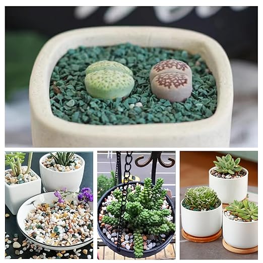6.6 lbs Succulent and Cactus Bonsai Pebbles, 4-6mm Decorative Landscaping Polished Stones Natural Garden Gravel Rocks for Indoor Outdoor Plants Aquariums DIY, and Gardening Top Dressing, Multicolor