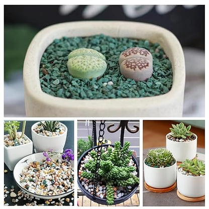 6.6 lbs Succulent and Cactus Bonsai Pebbles, 4-6mm Decorative Landscaping Polished Stones Natural Garden Gravel Rocks for Indoor Outdoor Plants Aquariums DIY, and Gardening Top Dressing, Multicolor