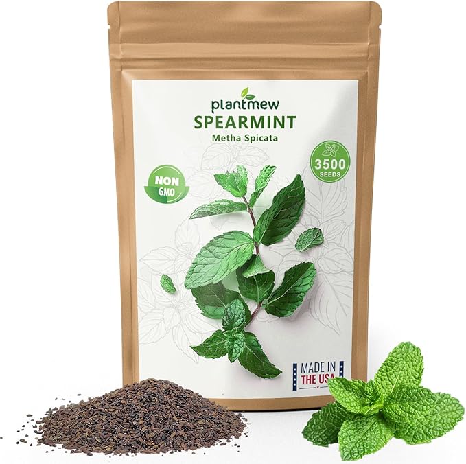 Mint Seeds for Planting - 3500 Spearmint Seeds, Non-GMO & Heirloom Perennial Herb Seeds for Indoor/Outdoor Herb Garden, Tea, Cocktails (1 Pack)