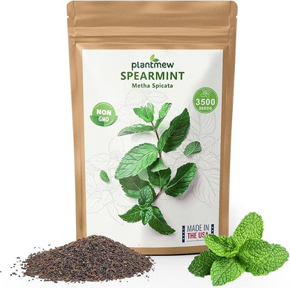 Mint Seeds for Planting - 3500 Spearmint Seeds, Non-GMO & Heirloom Perennial Herb Seeds for Indoor/Outdoor Herb Garden, Tea, Cocktails (1 Pack)
