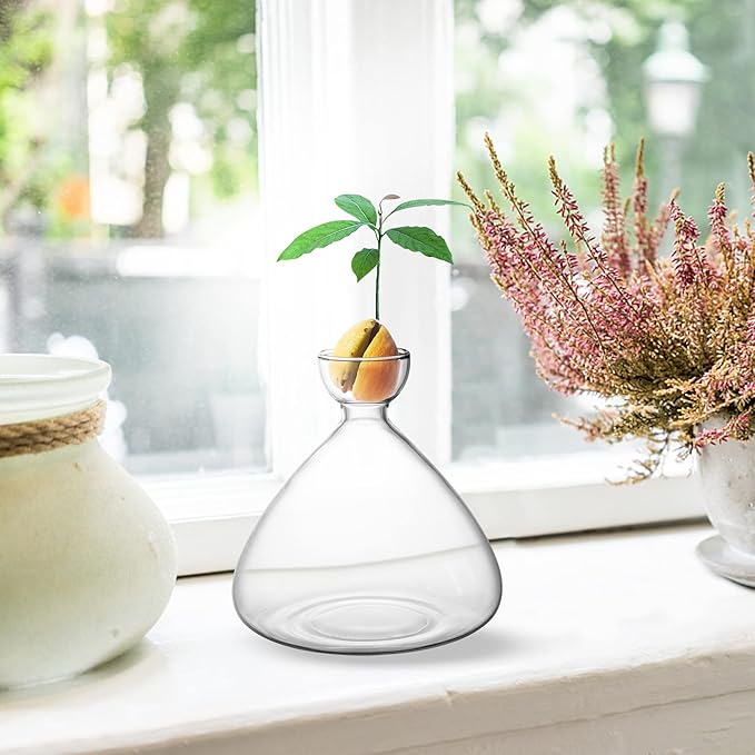 moonoom Avocado Seed Starter Vase,Avocado Vase for Growing,Avocado Seed Growing Kit Plant Glass with Avocado Stickers Gift for Gardening Lover