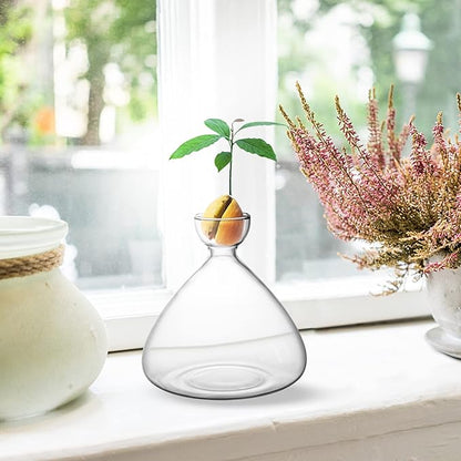 moonoom Avocado Seed Starter Vase,Avocado Vase for Growing,Avocado Seed Growing Kit Plant Glass with Avocado Stickers Gift for Gardening Lover