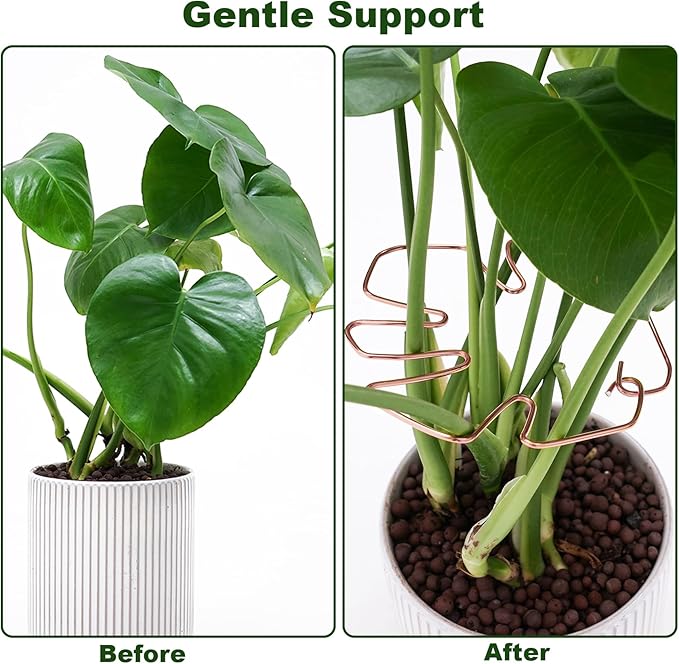 6PCS Plant Stem Support, Copper Monstera Plant Support, Unique Designed Stable Plant Support Stakes for Plants Stabilizer, Turtle Shell Bamboo Clamp Set for Outdoor & Indoor Plants Thriving Growth